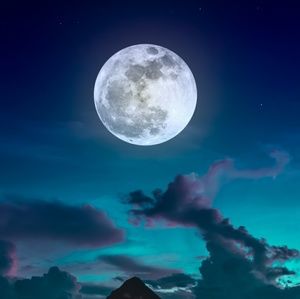 Meet your Posher, Madi